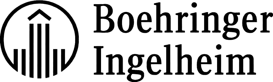 Organización participante