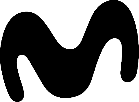 Organización participante