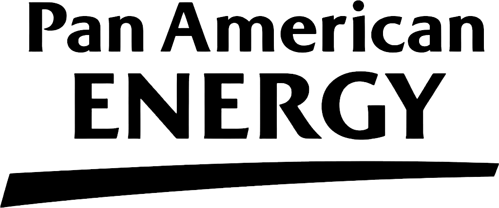 Organización participante
